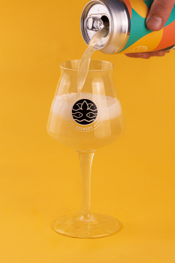 SESSION NEIPA - Pack de 6, 12 ou 24 – Image 2